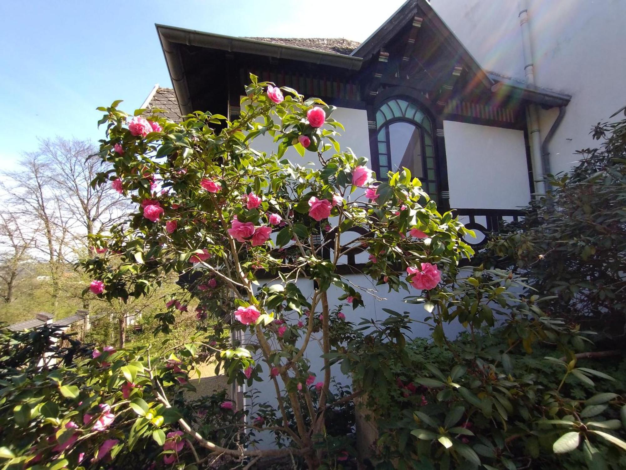 Historisches Haus Am Triller Villa Saarbrücken Eksteriør bilde